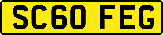 SC60FEG