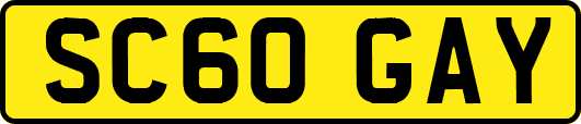 SC60GAY