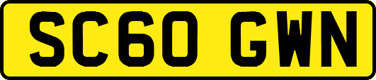 SC60GWN