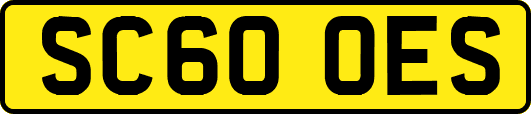 SC60OES