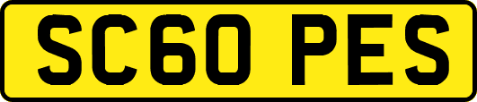 SC60PES