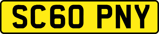 SC60PNY