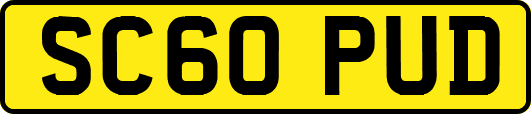 SC60PUD