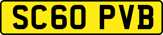 SC60PVB