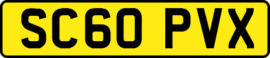 SC60PVX