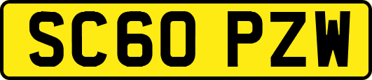 SC60PZW