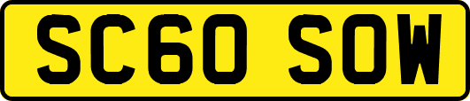 SC60SOW