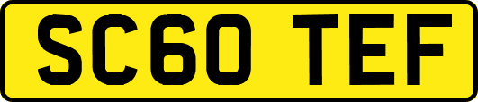 SC60TEF