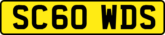 SC60WDS