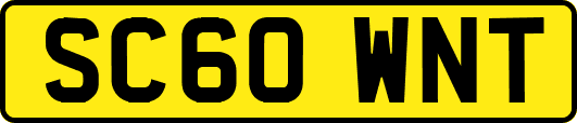 SC60WNT