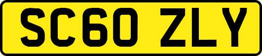 SC60ZLY