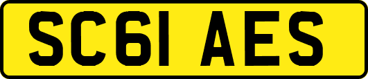 SC61AES