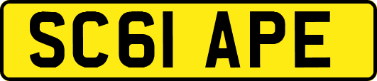 SC61APE