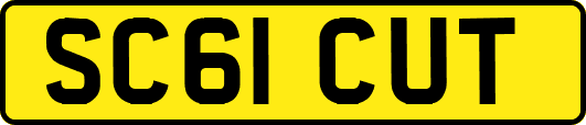 SC61CUT