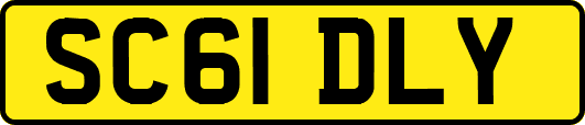 SC61DLY