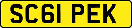 SC61PEK