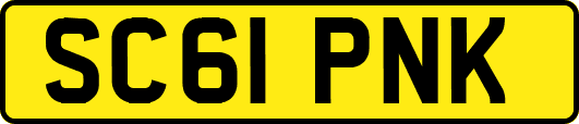 SC61PNK