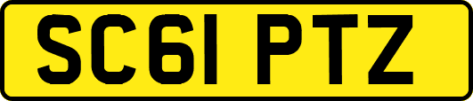 SC61PTZ