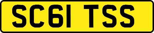 SC61TSS