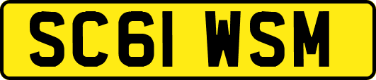 SC61WSM