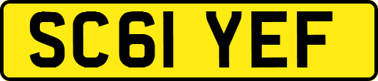 SC61YEF