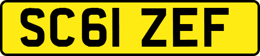 SC61ZEF