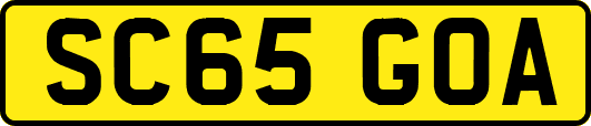 SC65GOA
