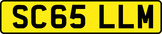 SC65LLM