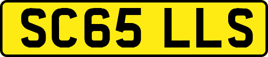 SC65LLS