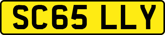 SC65LLY