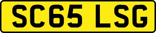 SC65LSG