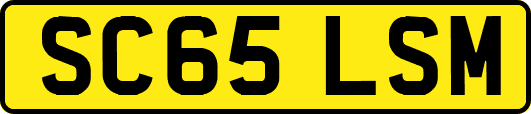SC65LSM