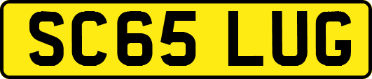 SC65LUG