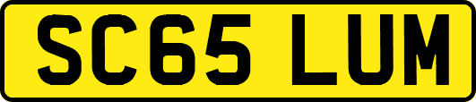 SC65LUM