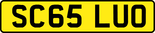 SC65LUO
