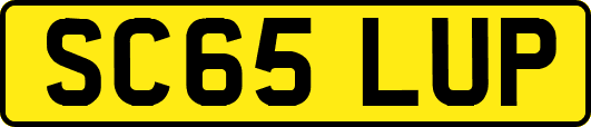 SC65LUP