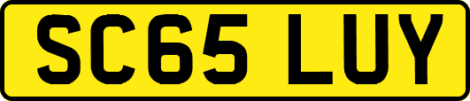 SC65LUY