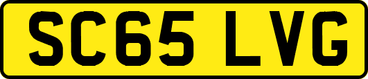 SC65LVG