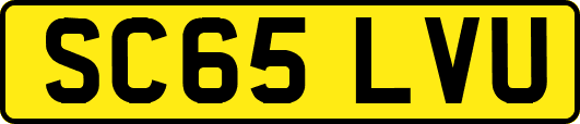 SC65LVU