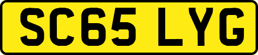 SC65LYG