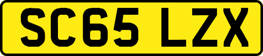 SC65LZX