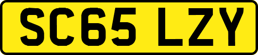 SC65LZY