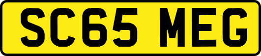 SC65MEG
