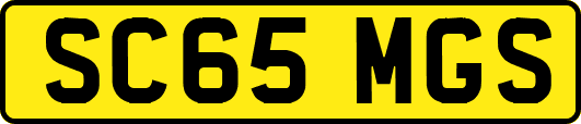 SC65MGS