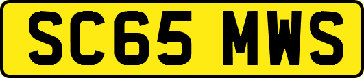SC65MWS