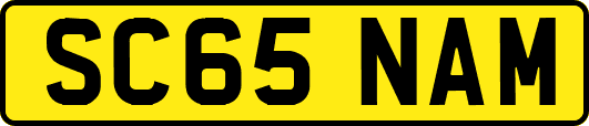 SC65NAM