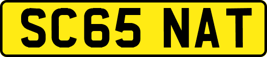 SC65NAT