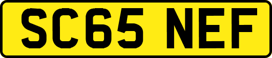 SC65NEF