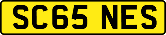 SC65NES