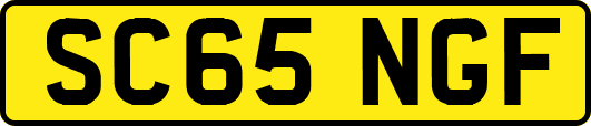 SC65NGF